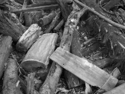 山形県 木材需給安定化推進プロジェクト会議　開催