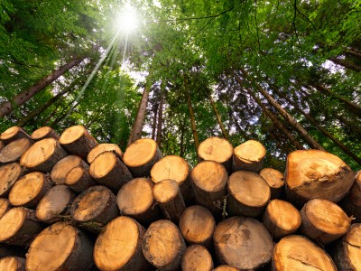 ふるさと納税の特典に薪ストーブ 木質バイオマス活用を促進