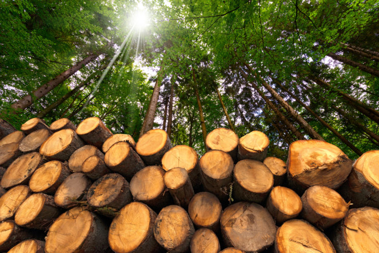 ふるさと納税の特典に薪ストーブ 木質バイオマス活用を促進