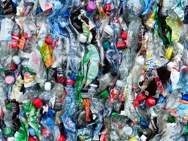 プラスチック削減を250社が宣言 大企業の協業相次ぐ