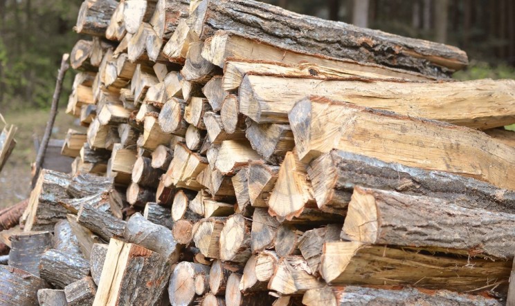 環境省　CO2削減プロジェクト 木質バイオマス活用など新たに2件を採択