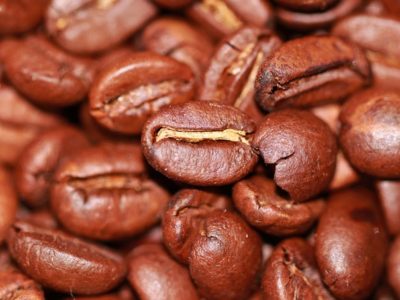 関西大学ベンチャー コーヒーかす原料の凍霜害防止材を開発