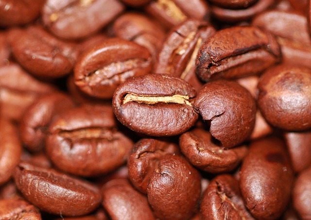 【海外メディア】コーヒーかすをパーム油の代替へ